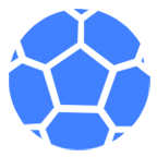 澳南部女聯logo
